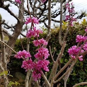 18-4-12_H-SUohu.jpg