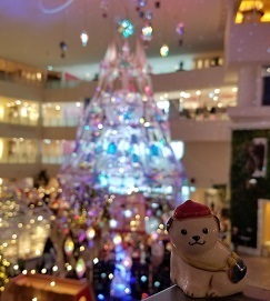 21-12-31.jpg