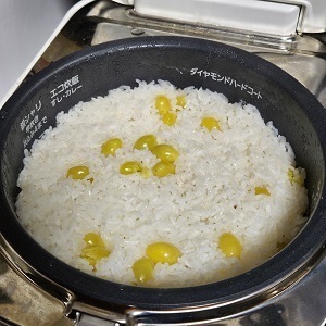 24-11_GinnanGohan.jpg