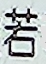 Nya1.jpg